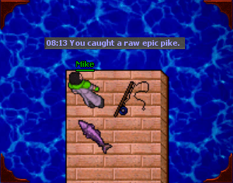 Ordinary catches can have different qualities.