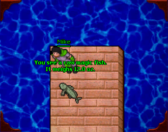 Magic fish belong to the ordinary fishing and cooking route.