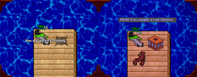 Client captures: use the fishing tool on water; a successful catch reports the fish.