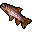 Special fishing and battle food illustration